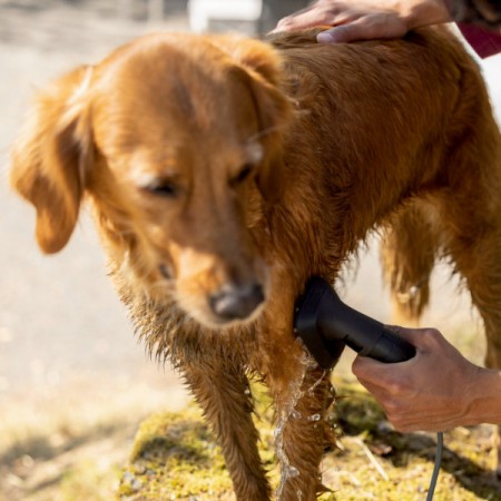 Karcher Pet Wash Brush - OC3 | 2.644-421.0